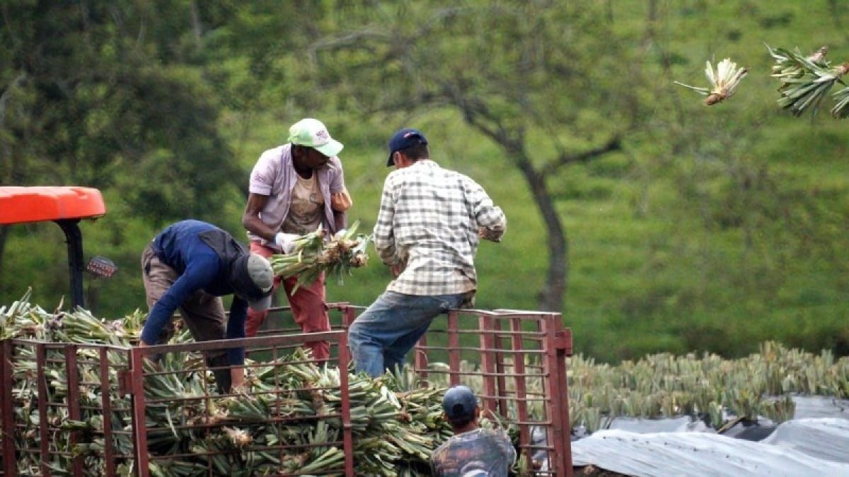 Επιστροφή ΕΦΚ, φθηνότερο ρεύμα και στήριξη κτηνοτροφίας: Αυτά είναι τα 6 νέα μέτρα της κυβέρνησης για τους αγρότες