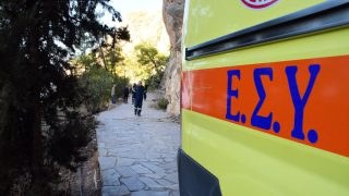 Συναγερμός στο Βόλο: Σκύλος δάγκωσε 9 μηνών βρέφος στο πρόσωπο!