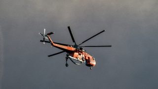 Συναγερμός στα Καλάβρυτα: Φωτιά σε δάσος της περιοχής