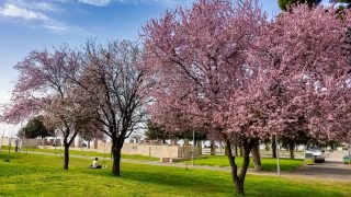 Καιρός σήμερα 15/3: Μία κρύο… μία ζέστη με αφρικανική σκόνη πριν από τον «ουκρανικό χειμώνα» – Η εκτίμηση Καλλιάνου, Μαρουσάκη και Τσατραφύλλια