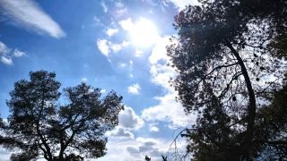 Καιρός σήμερα 7/3: «Γλύκα» πριν από το Σαββατοκύριακο – Πόσο ανεβαίνει η θερμοκρασία και πότε θα ψυχράνει ξανά ο καιρός σύμφωνα με Αρναούτογλου-Μαρουσάκη