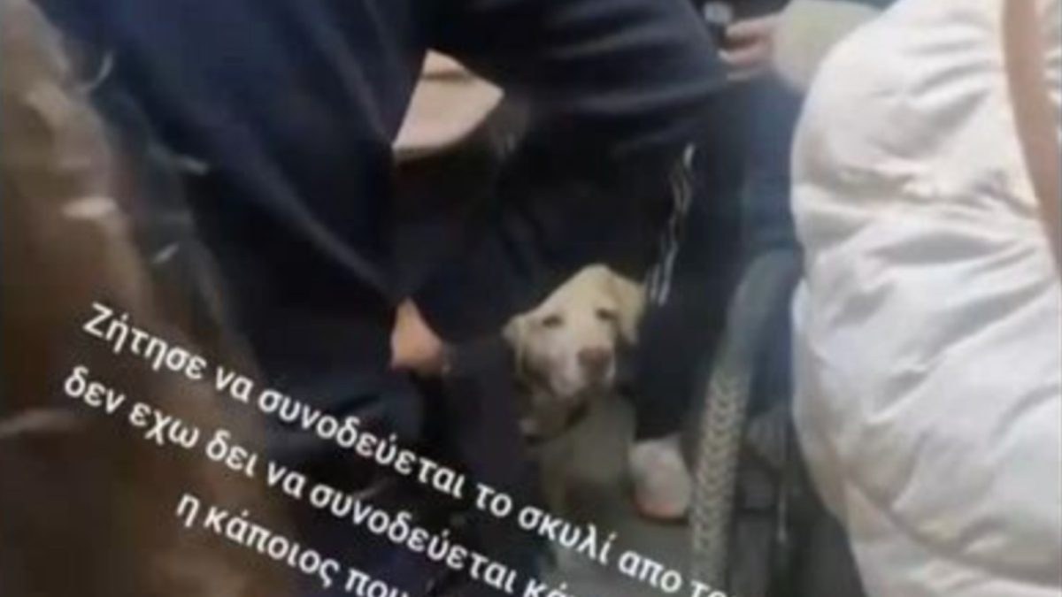 Χάος σε τρένο του ΗΣΑΠ: Κάλεσαν την Αστυνομία λόγω σκύλου – «Ούρλιαζε “βγείτε έξω από τα βαγόνια”»