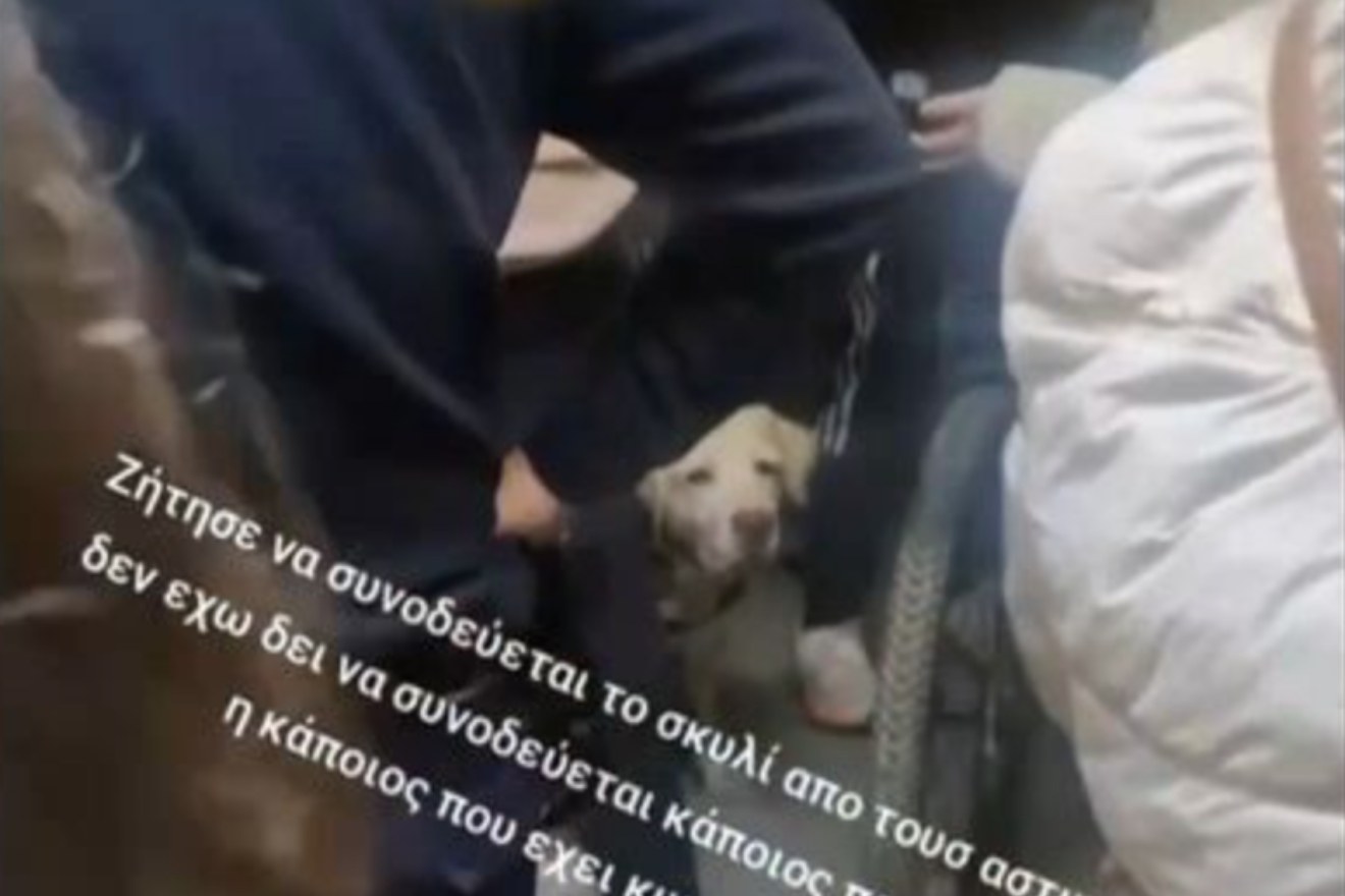 Χάος σε τρένο του ΗΣΑΠ: Κάλεσαν την Αστυνομία λόγω σκύλου – «Ούρλιαζε “βγείτε έξω από τα βαγόνια”»