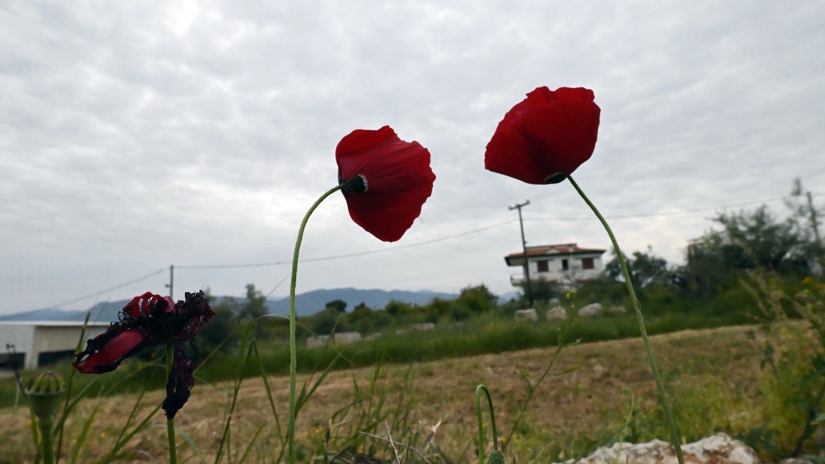 Καιρός: Άρωμα… τσίκνας και καλοκαιριού το Πάσχα – Η εκτίμηση Αρναούτογλου και Μαρουσάκη