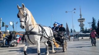 Θρίλερ στη Θεσσαλονίκη: Άλογο δάγκωσε 9χρονο στο πρόσωπο σε σχολική εκδρομή