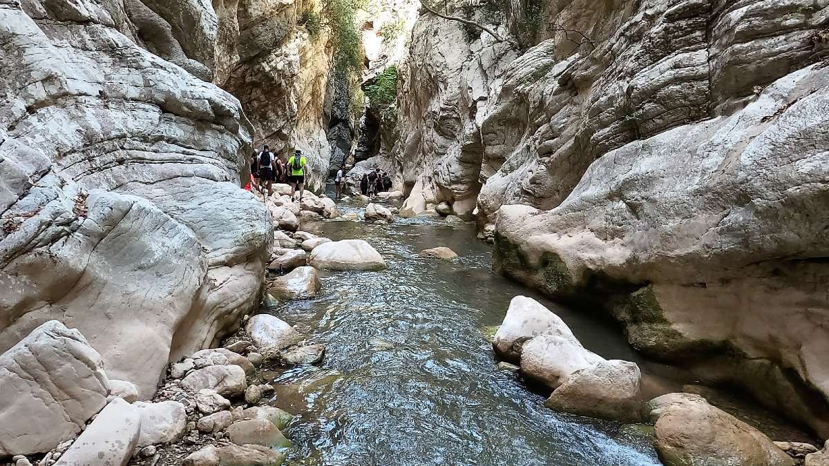 Νέδα: Πατέρας και γιος έπεσαν σε χαράδρα – Μεγάλη επιχείρηση διάσωσης σε εξέλιξη