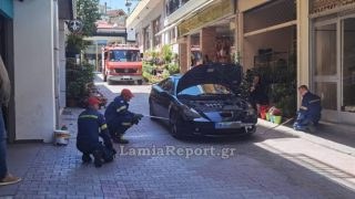 Λαμία: Οδηγός εντόπισε φίδι ενός μέτρου στο αυτοκίνητό του