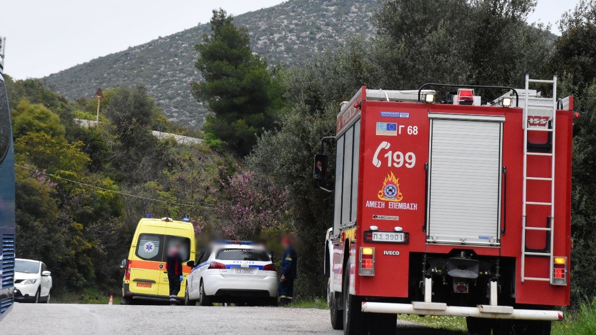 Νέα φωτιά στον Ασπρόπυργο: Στις φλόγες χαμηλή βλάστηση στο Σοφό