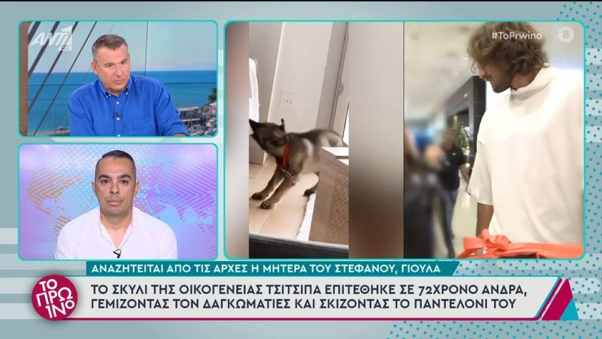 Στέφανος Τσιτσιπάς: Η μητέρα του είναι η ιδιοκτήτρια του σκύλου που επιτέθηκε σε περαστικό – «Γιατί πέρασες από εκεί» φέρεται να είπε στον τραυματία