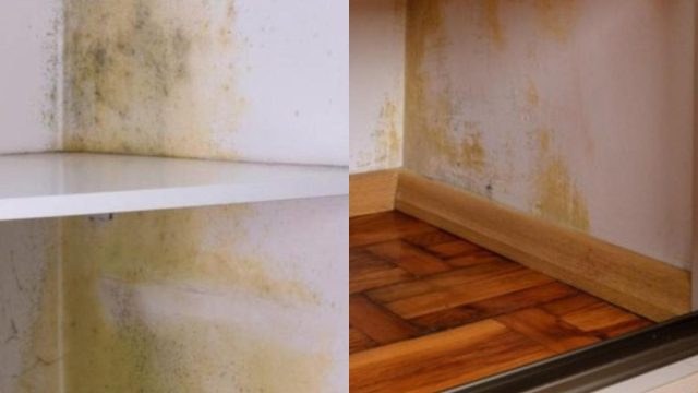 Μυρίζουν τα ντουλάπια μούχλα, κλεισούρα ή λαδίλα; Δες πώς να απαλλαγείς από όλες τις δυσάρεστες οσμές