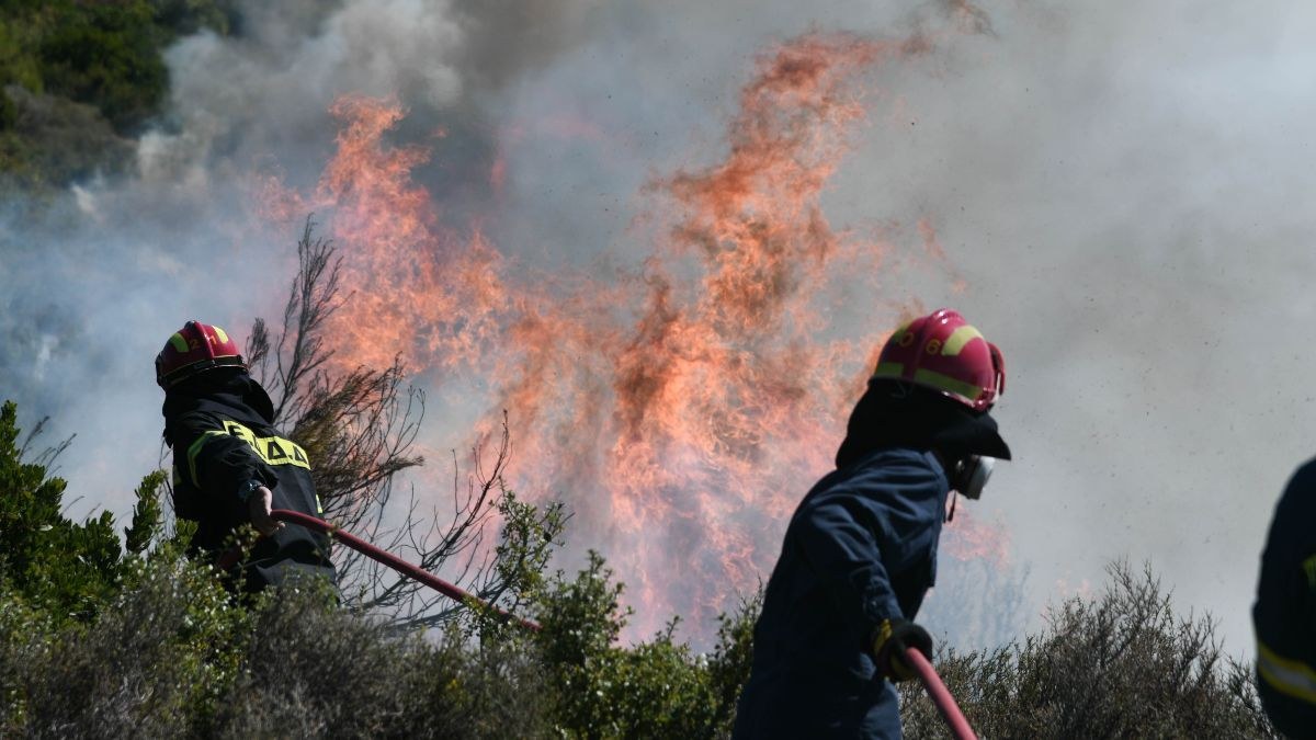 Μάχη με τις φλόγες στο Νεοχώρι Αργολίδας – Επιχειρούν και εναέρια μέσα