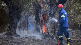 Συναγερμός για φωτιά δίπλα στο Σισμανόγλειο