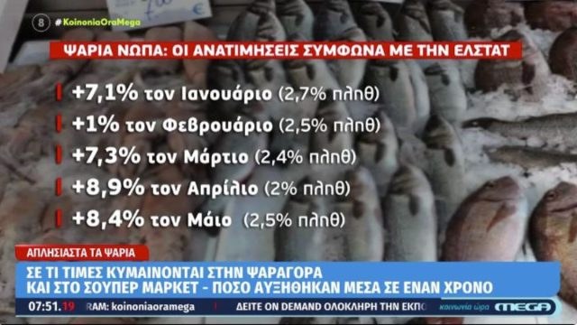 Απλησίαστα τα ψάρια: Οι τιμές σε ψαραγορά και σούπερ μάρκετ