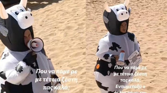 Οργή στα social media: Εργαζόμενος ντυμένος αγελάδα μέσα στον καύσωνα και θερμοκρασίες άνω των 43 βαθμών (video)