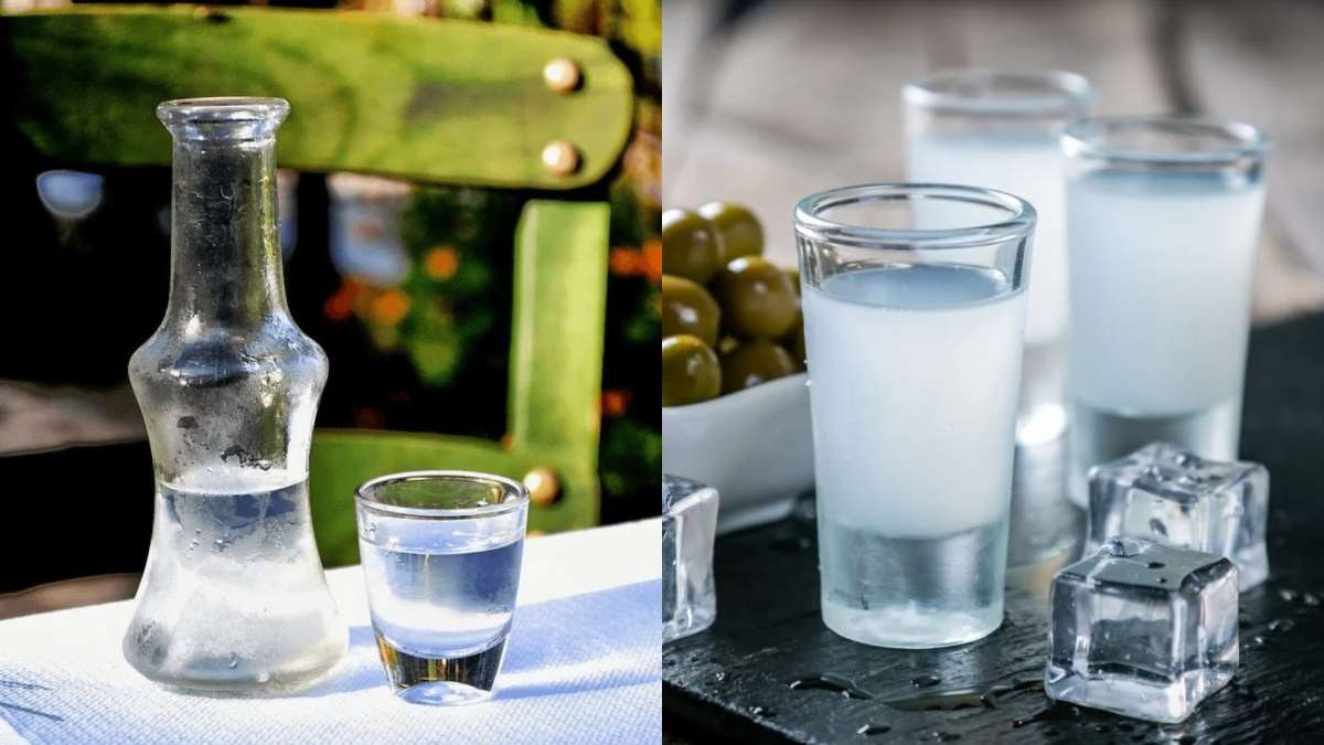 Τσίκουρο, ούζο, ρακή, διαφορές