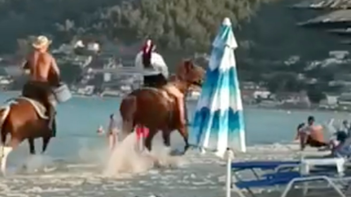 Βίντεο-σοκ με το ποδοπάτημα της 5χρονης από άλογο σε παραλία της Θάσου – «Ακούστηκε σαν τύμπανο»