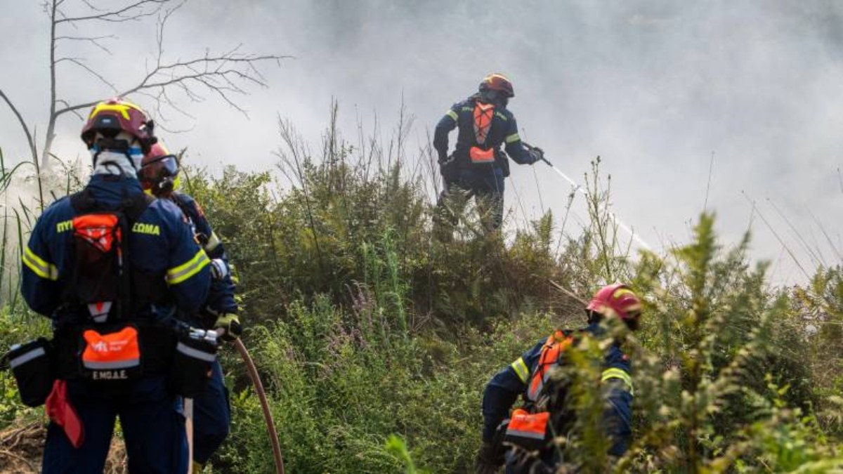 Συναγερμός στην Κέρκυρα – Φωτιά κοντά στον υποσταθμό της ΔΕΗ