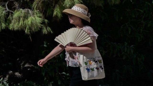 Καιρός σήμερα (14/7): Ανεβαίνει η θερμοκρασία και επιστρέφουν τα μελτέμια – Πόσο θα κρατήσει η ζέστη σύμφωνα με Αρνιακό και Καλλιάνο