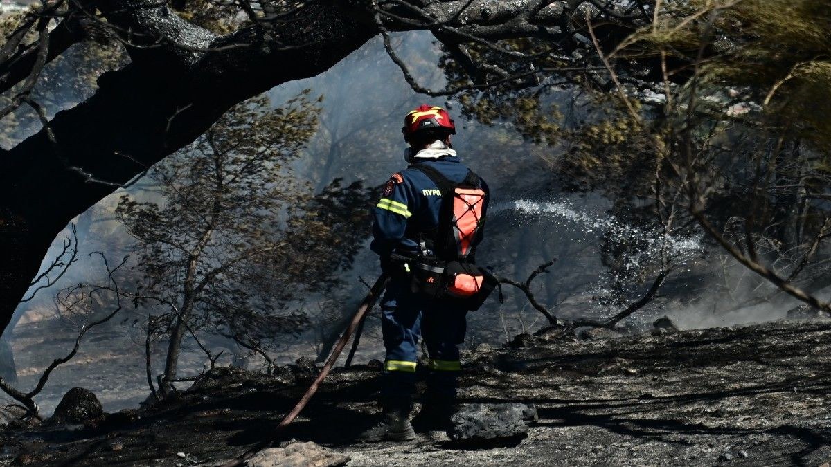 Κορωπί: Βελτιωμένη η κατάσταση στο μέτωπο της πυρκαγιάς – Ζημιές σε κατοικίες και εκκενώσεις περιοχών