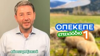 ΠΑΣΟΚ: Ανδρουλάκης… κάνει casting μέσω TikTok για τον ΟΠΕΚΕΠΕ
