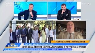 «Κόλαφος» ο Γλύκας για την απόφαση κατά του Πέτρου Φιλιππίδη – «Είναι μία πολύ χαμηλή ποινή… »