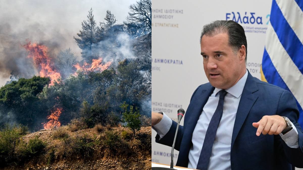 Γεωργιάδης για τον 19χρονο εμπρηστή στην Πάτρα: Η παραδειγματική τιμωρία τους είναι η μόνη λύση