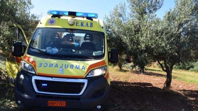 Σοκ στη Ξάνθη: Κυνηγός πυροβόλησε υπεύθυνο θήρας σε επιχείρηση για αγριογούρουνα