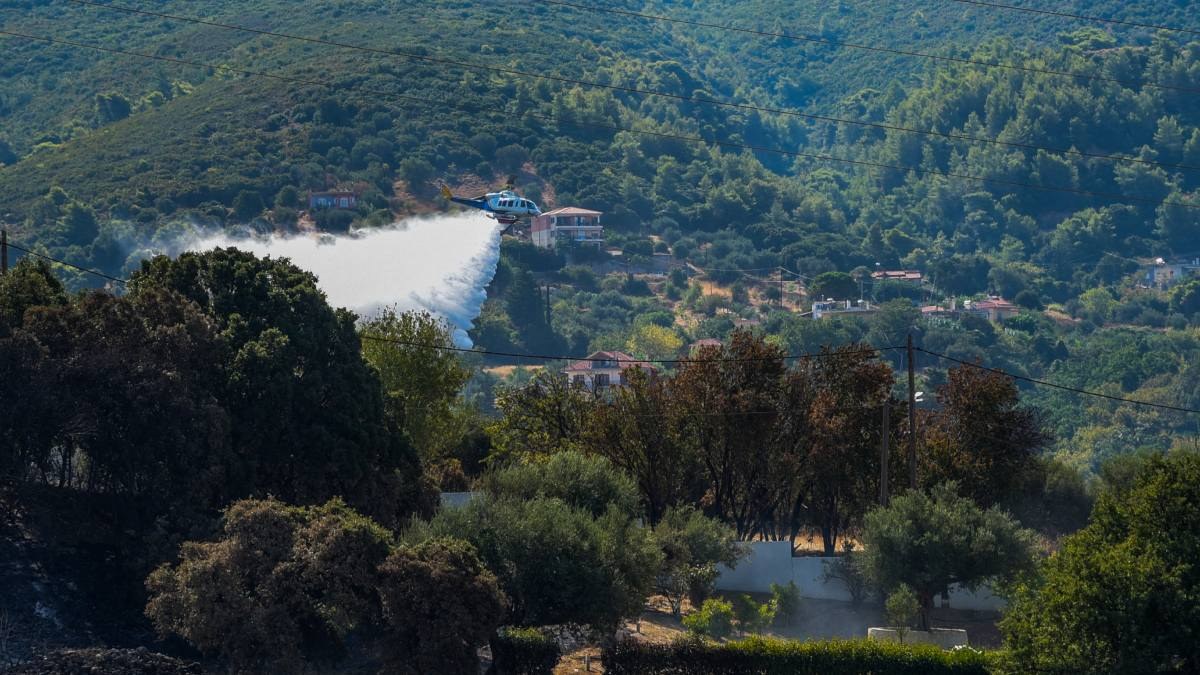 Πυρκαγιά στην Μεσσηνία: Καίει δίπλα στο σημείο που είχε καεί πριν από μία εβδομάδα