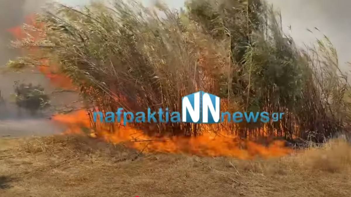Συναγερμός στην Πυροσβεστική: Φωτιά σε Γαλατά και Βόνιτσα Αιτωλοακαρνανίας – Ήχησε το «112»