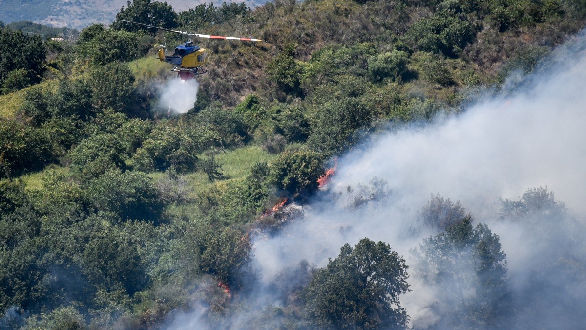 Συναγερμός για φωτιά στην Καλλιτεχνούπολη Αττικής: Μήνυμα από το 112