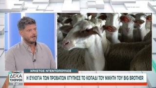 Χρήστος Ντεντόπουλος: Η ευλογιά των προβάτων «χτύπησε» τον νικητή του Big Brother – «Θανατώθηκαν και τα έθαψα»