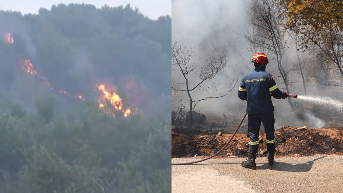Οινόη: Συνεχίζεται η πυρκαγιά που ξέσπασε τα ξημερώματα – Ήχησε το 112