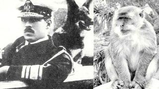 Σαν σήμερα, 17 Σεπτεμβρίου 1920: Μαϊμού δαγκώνει τον Βασιλιά των Ελλήνων Αλέξανδρο Α’- Πεθαίνει λίγες μέρες μετά από σηψαιμία