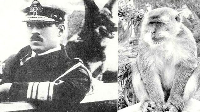 Σαν σήμερα, 17 Σεπτεμβρίου 1920: Μαϊμού δαγκώνει τον Βασιλιά των Ελλήνων Αλέξανδρο Α’- Πεθαίνει λίγες μέρες μετά από σηψαιμία