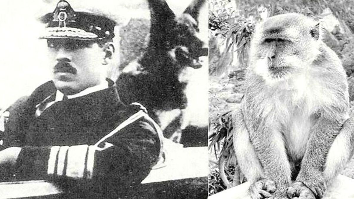 Σαν σήμερα, 17 Σεπτεμβρίου 1920: Μαϊμού δαγκώνει τον Βασιλιά των Ελλήνων Αλέξανδρο Α’- Πεθαίνει λίγες μέρες μετά από σηψαιμία