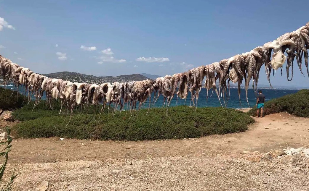 Η ταβέρνα της Χαμολιάς