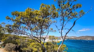 Καιρός σήμερα 23/9: Ήπιο καλοκαιράκι… πριν από την πρώτη δυνατή κακοκαιρία – Η εκτίμηση Αρναούτογλου και Μαρουσάκη