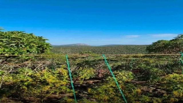 «Βαρύ» ποινικό παρελθόν σε έναν από τους συλληφθέντες της υπόθεσης ναρκωτικών – Κατηγορούμενος είχε πυροβολήσει αστυνομικό το 2012