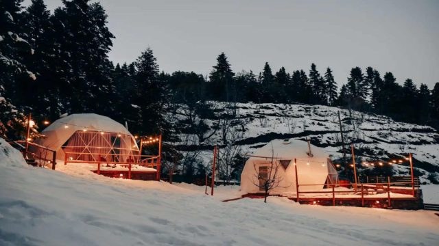 Ανακάλυψε το Mountain Tea Glamping – Νύχτες με άρωμα ξύλου και θέα στα αστέρια