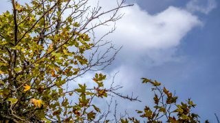 Καιρός 11/11: Περιορίζονται σταδιακά οι βροχές – Η εκτίμηση Τσατραφύλλια και Μαρουσάκη