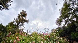 Καιρός σήμερα (6/11):  Μεταβολή του σκηνικού – «Θα πέσει πολύ νερό σε λίγες ώρες», η προειδοποίηση Αρναούτογλου