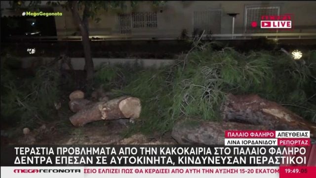 Χαμός στο Παλαιό Φάληρο λόγω της κακοκαιρίας Adel: Ξεριζωμένα δέντρα έπεσαν σε αυτοκίνητα, κινδύνευσαν περαστικοί