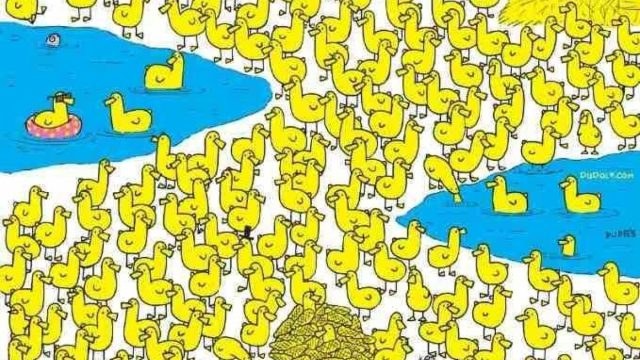 Οπτική ψευδαίσθηση: Μόνο το 5% των ανθρώπων θα βρουν το κοτόπουλο ανάμεσα στα παπάκια