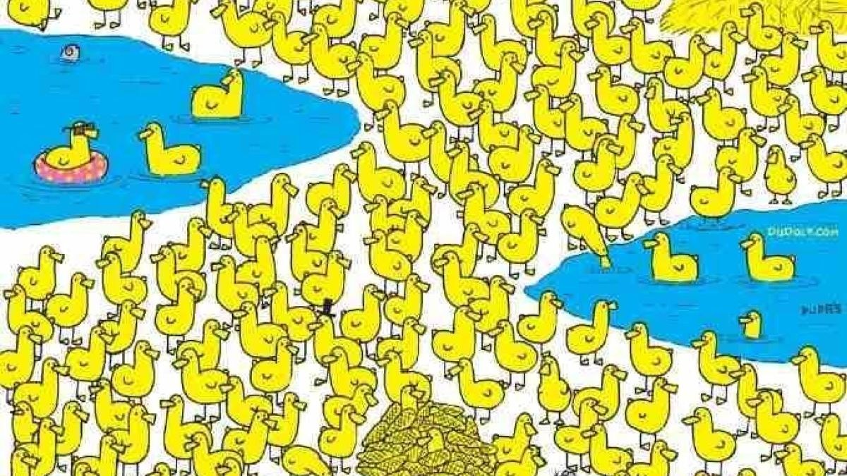 Οπτική ψευδαίσθηση: Μόνο το 5% των ανθρώπων θα βρουν το κοτόπουλο ανάμεσα στα παπάκια