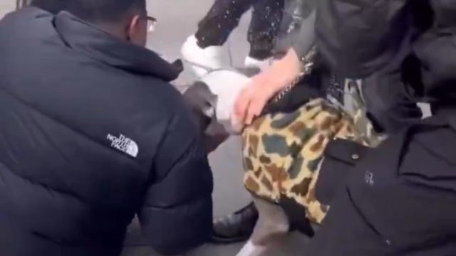 Νέα Υόρκη: Αφηνιασμένο πίτμπουλ άρπαξε το πόδι 1 έτους παιδιού και δεν το άφηνε