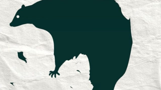 Τεστ προσωπικότητας: Η πρώτη εικόνα που βλέπεις, αποκαλύπτει τη μεγαλύτερη φοβία σου