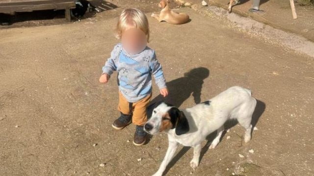 Ζάκυνθος: Βαρύ πένθος για τον θάνατο 2χρονου από την επίθεση σκύλου – «Πήγαινε με ανοιχτά χέρια να χαϊδέψει το σκυλί»