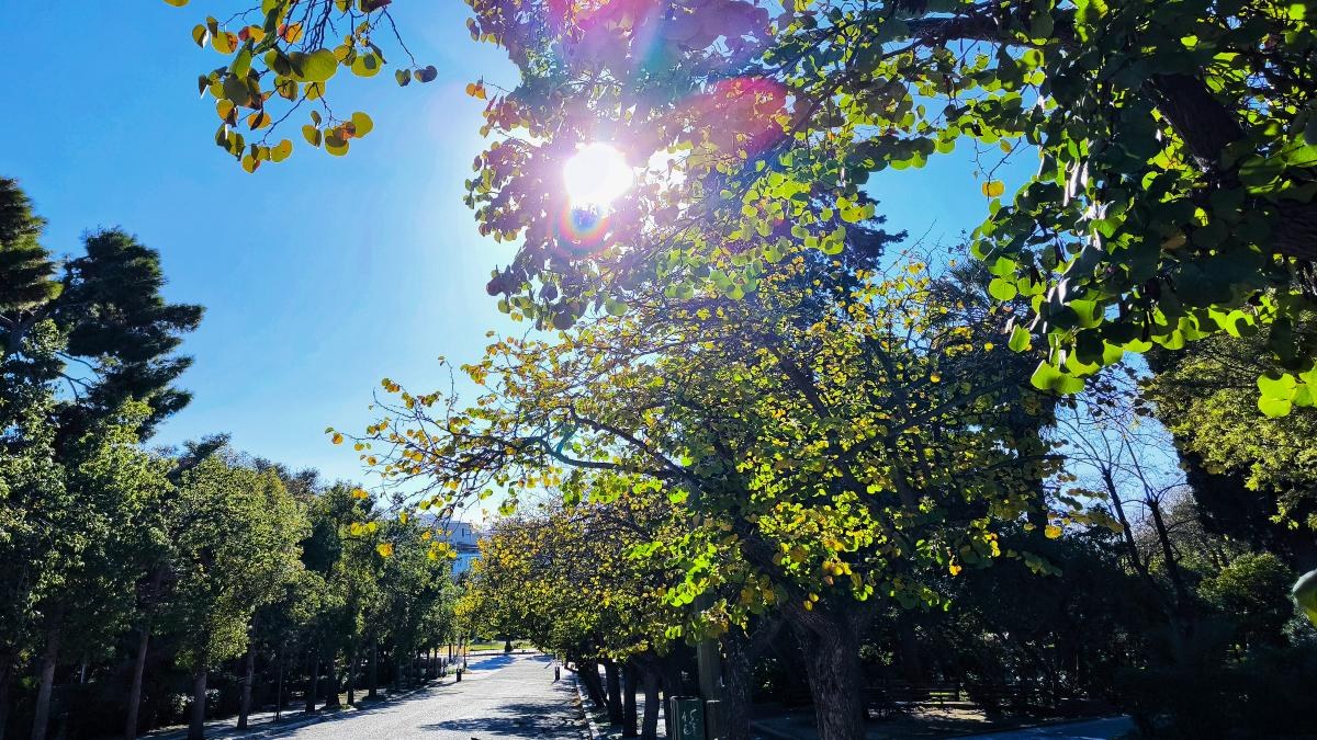 Καιρός σήμερα 14/1: Ηλιοφάνεια και άνοδος της θερμοκρασίας – Πότε θα επιστρέψουν τα χιόνια – Η πρόγνωση από Αρναούτογλου και Αρνιακό