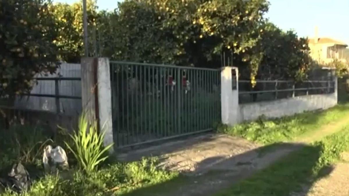 Θρίλερ στη Ναύπακτο με τα αδέλφια που κάηκαν στο σπίτι τους – Πλαστή η πρώτη από τις 5 διαθήκες