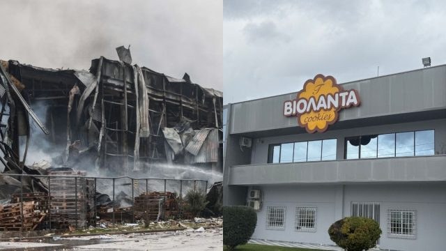 Η απόφαση που έσωσε ζωές στη Βιολάντα: Γιατί δούλευαν μόνο 12 άτομα τη νύχτα της έκρηξης